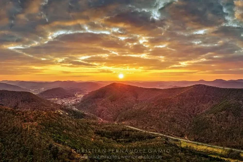 WasgauBike Landschaft 1
