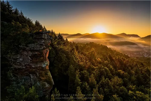 WasgauBike Landschaft 3