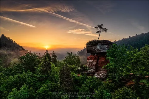 WasgauBike Landschaft 4